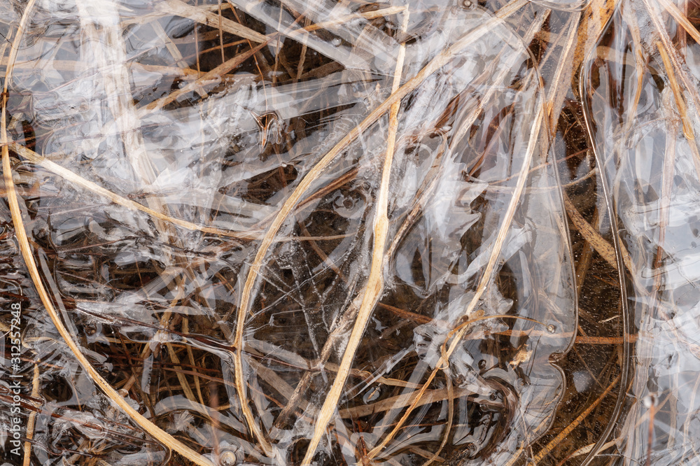 Ice with frozen gras, textures, pattern and close-up Ice with frozen gras, textures, pattern and close-up