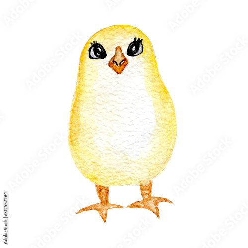 Cute little yellow chick. Hand drawn watercolor chicken isolated on white background. Clip art. Cartoon. Animal. Bird. Easter chicken. Children s illustration. Simple. Fluffy.  Small