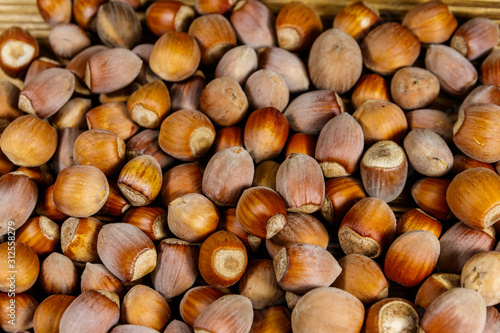 Food background of the whole hazelnuts