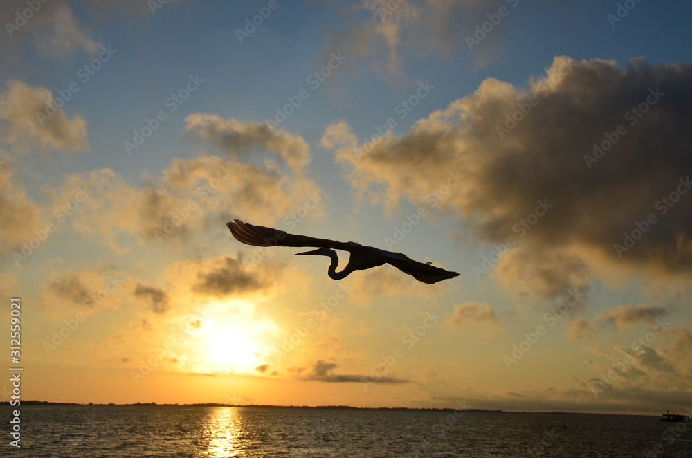 Obraz premium Rumo ao Sol