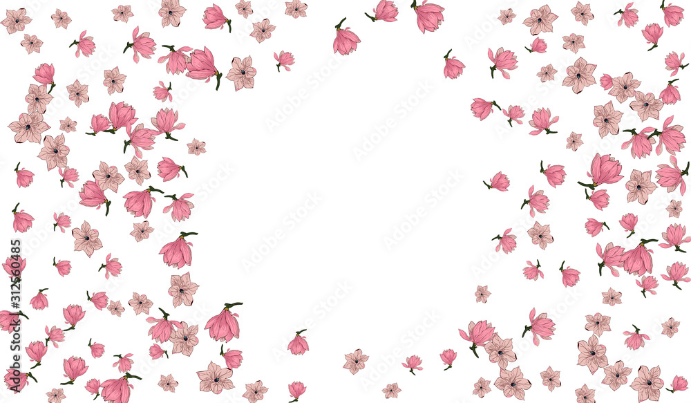 Pink Magnolia Flower Vector White Background. Japanese Sakura blossom illustration. Pink Magnolia Flower Vector White Background. Japanese Sakura blossom illustration.