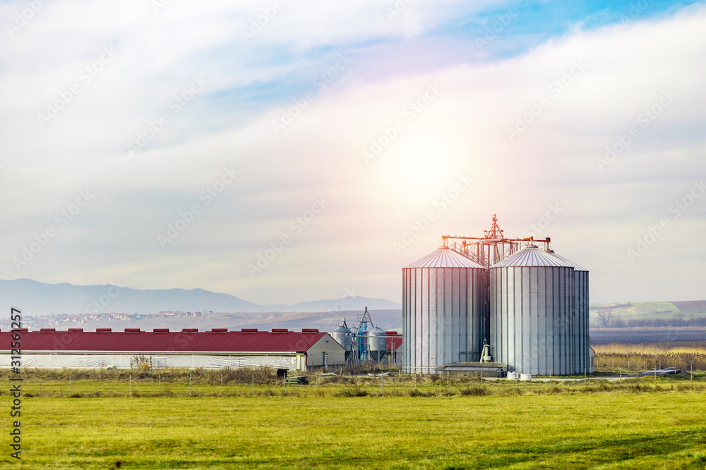 industrial place, two huge metal silo next to a pig farm on the green field, blue sky with clouds industrial place, two huge metal silo next to a pig farm on the green field, blue sky with clouds