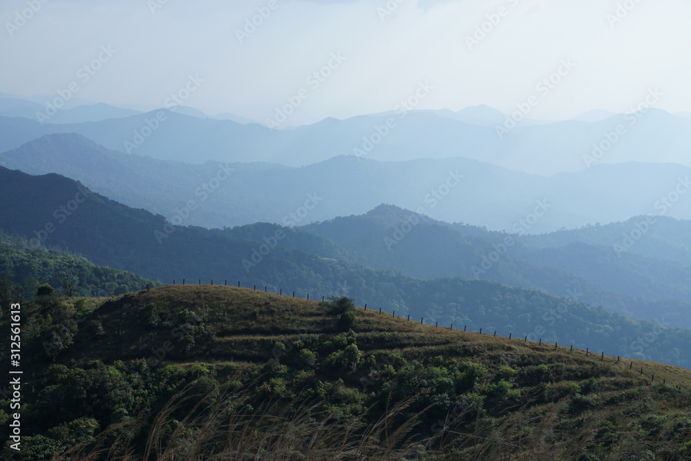 Naklejka premium Beautiful landscape