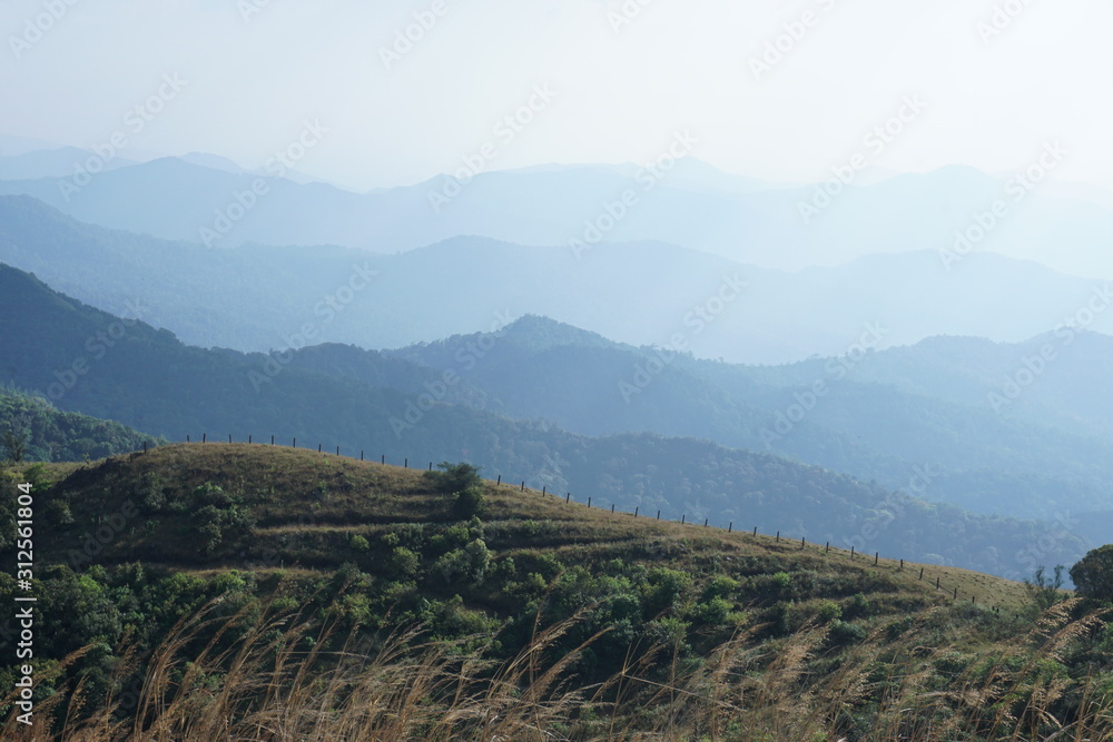 Obraz premium Beautiful landscape