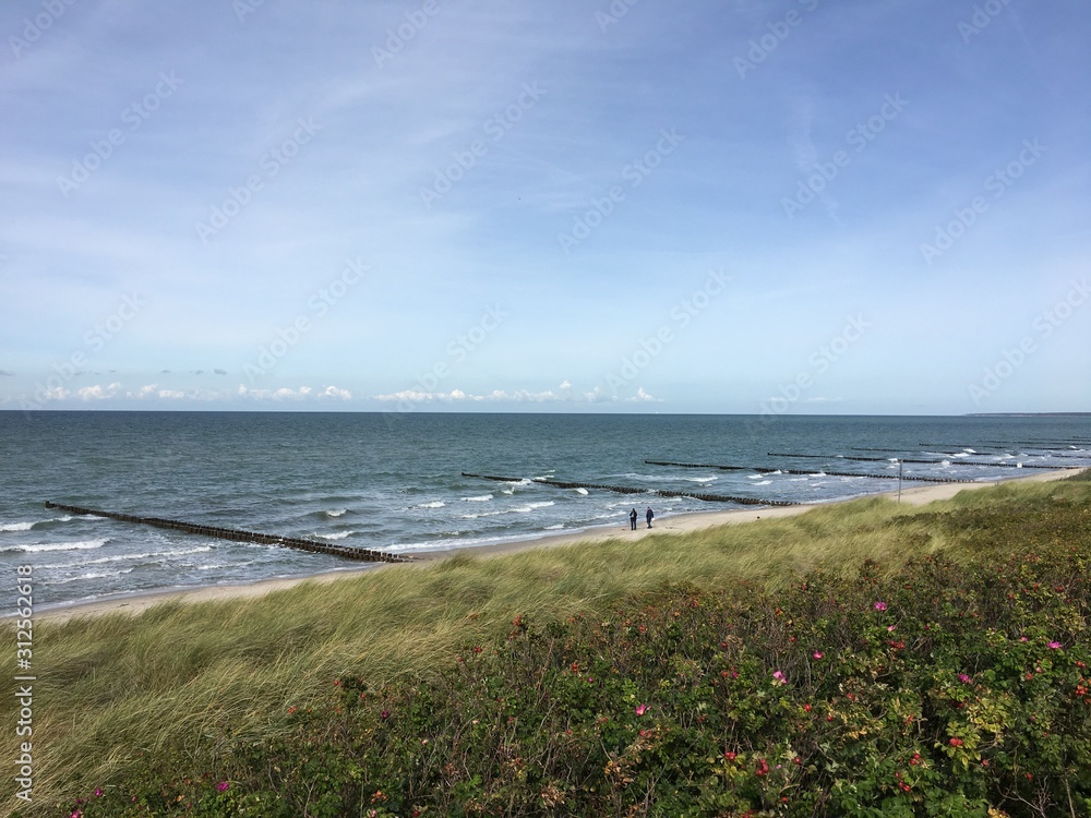 Blick vom Steilufer in Ahrenshoop über Hagebuttenbüsche auf Buhnen und die Ostsee Blick vom Steilufer in Ahrenshoop über Hagebuttenbüsche auf Buhnen und die Ostsee
