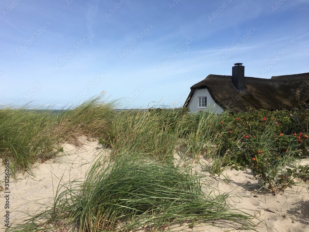 Reetgedecktes Haus hinter Dünen an der Steilküste von Ahrenshoop