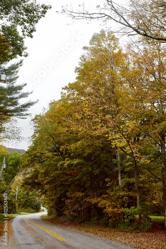 Beautiful countryside road in the historic New England town of Dorset on a cold, Fall day.	 photo