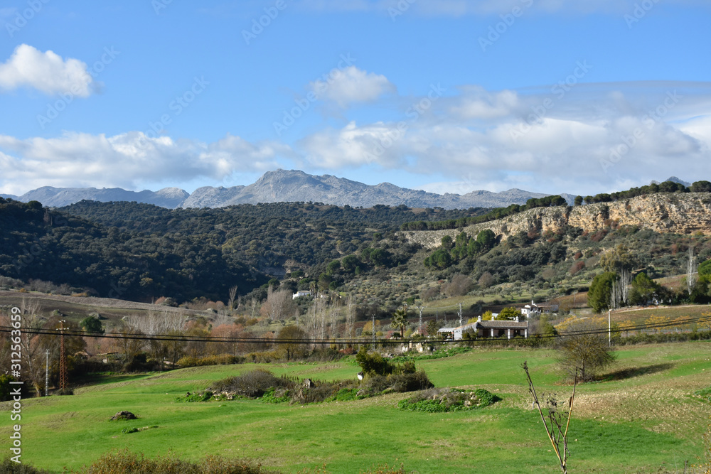 view during walk around ronda, (andalusia) on fields, woods and bare mountains