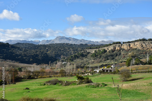 view during walk around ronda, (andalusia) on fields, woods and bare mountains