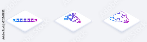 Set Isometric line Hunting cartridge belt with cartridges, Deer head with antlers and Hunting dog. White square button. Vector