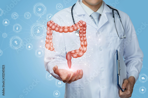Quadro su tela Doctor shows the colon of a person .