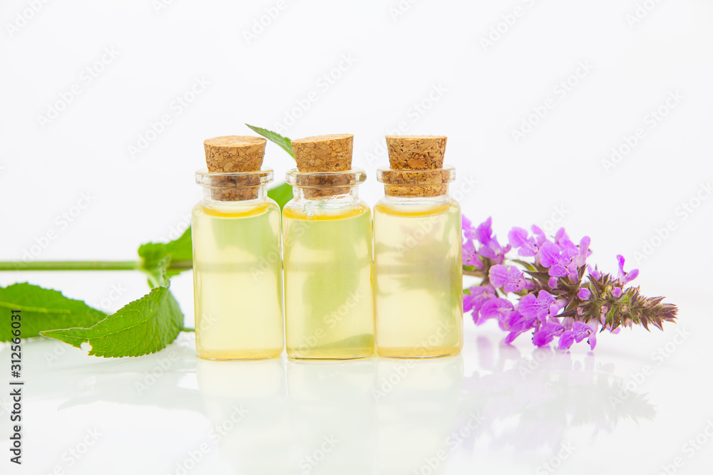 marsh woundwort essential oil in beautiful bottle on White background marsh woundwort essential oil in beautiful bottle on White background