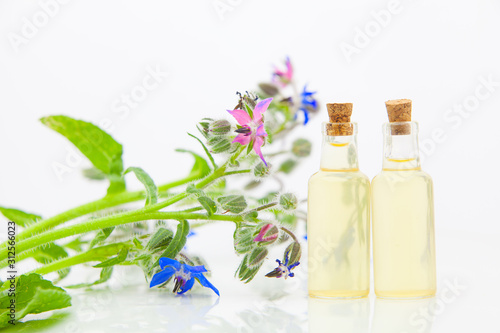 borago essential oil in  beautiful bottle on White background