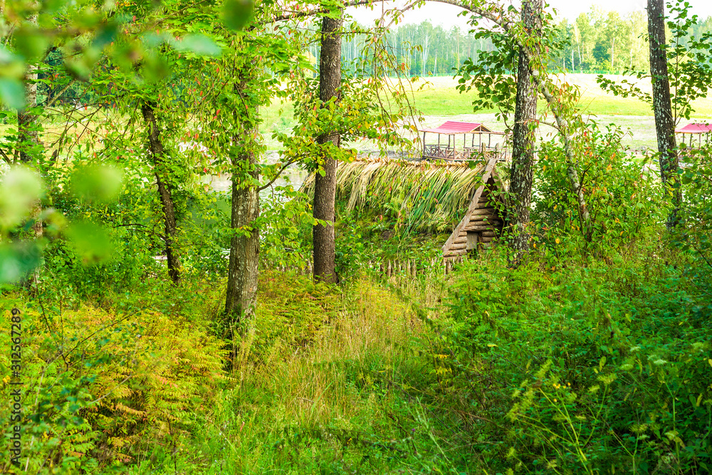 Fototapeta premium tree house, selective focus with shallow depth of field, warm filter
