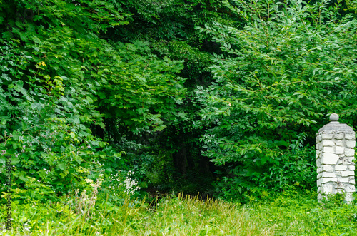 Edge of the forest, the beginning of the road, the ruins of the old castle