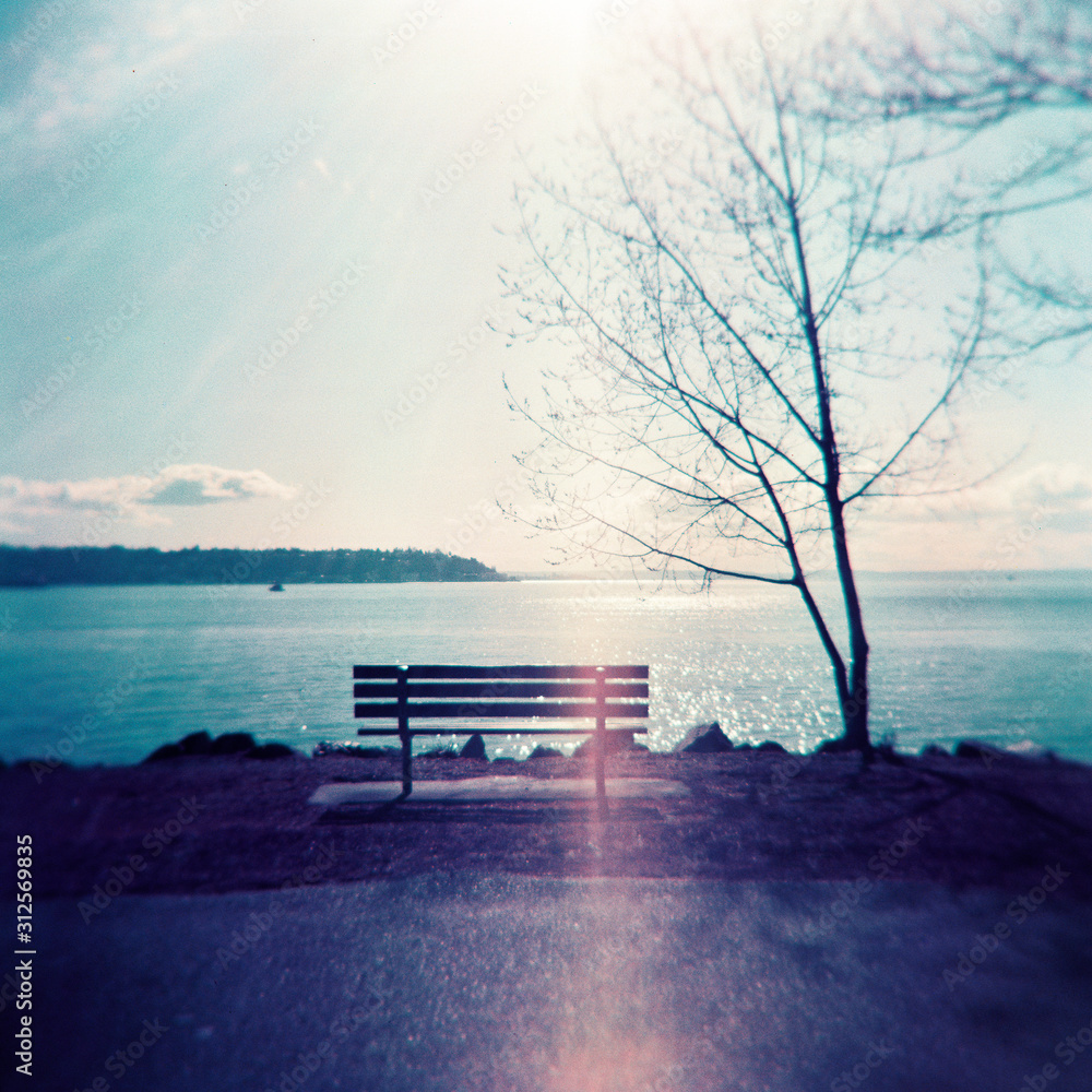 An empty bench on the Seattle waterfront