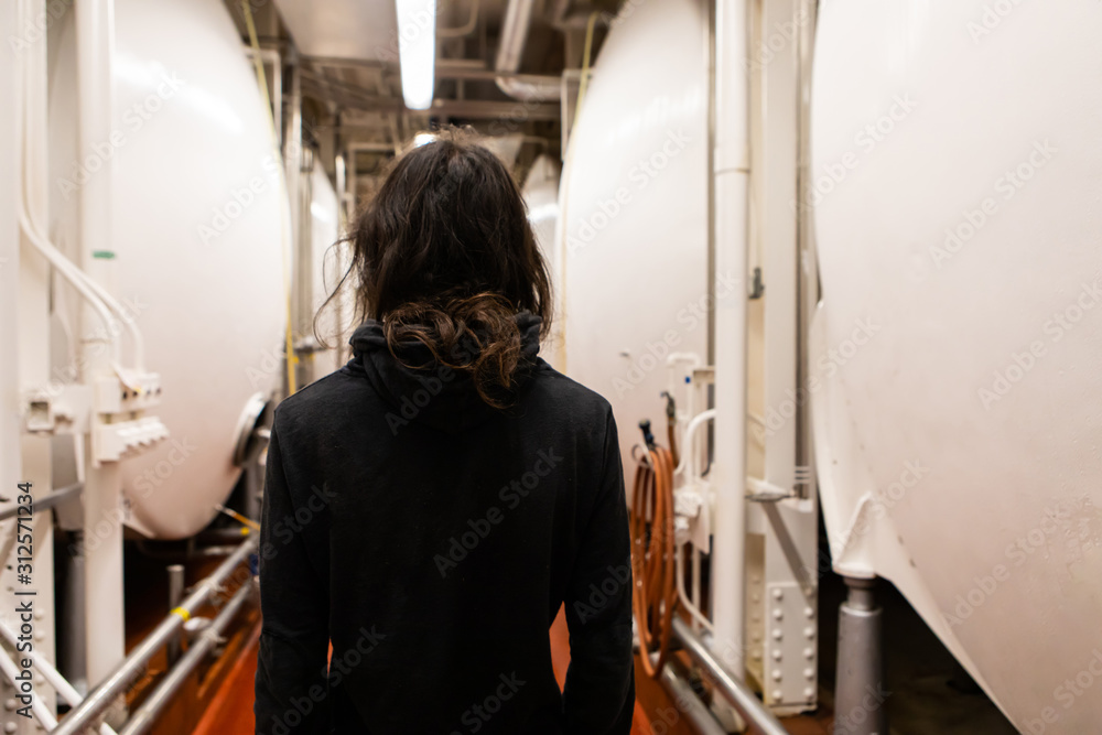 rear view of man with long hair standing in a passageway between large serving vessels, beer cooling lagering bright white tanks, modern brewhouse