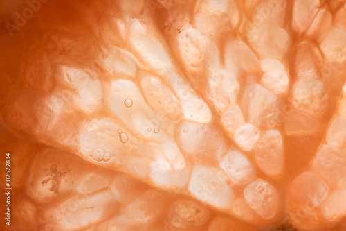 A slice of citrus fruit that has air bubbles trapped within. photo