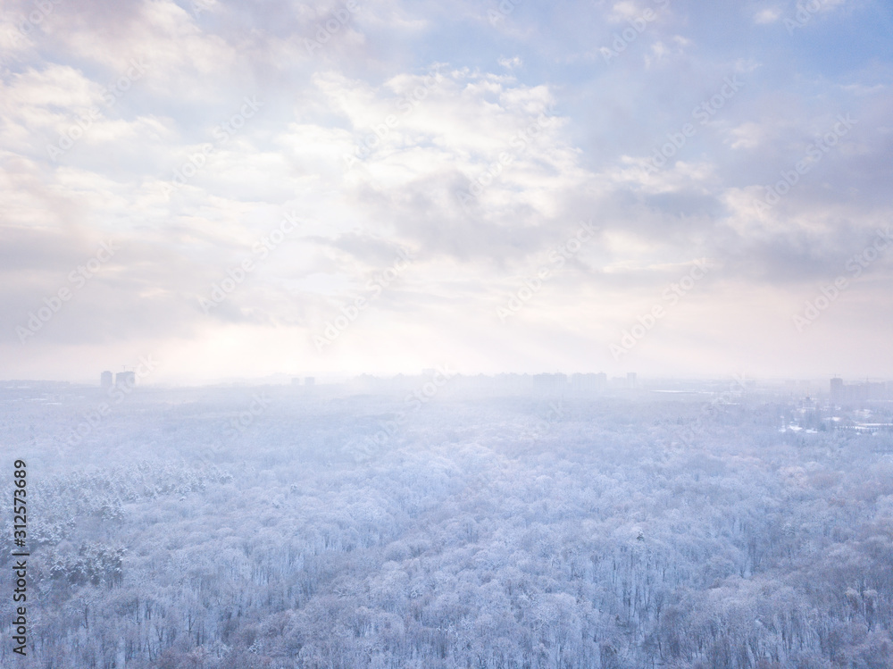 Winter landscape with forest massive covered a snow on a background of cloudy sky. Aerial view from drone. Winter landscape with forest massive covered a snow on a background of cloudy sky. Aerial view from drone.