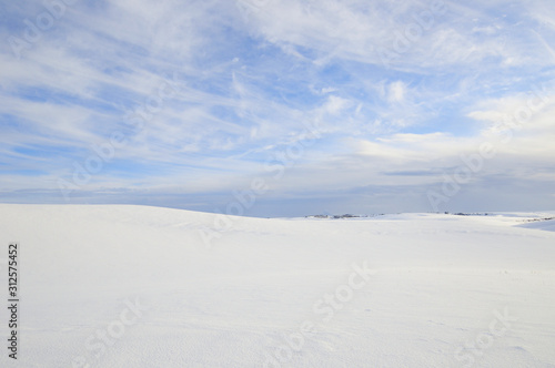 Cold Skies over Snowy Landscape