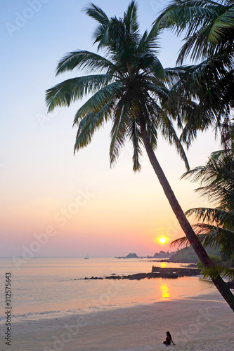 Fototapeta Naklejka Na Ścianę i Meble -  A tropical bay with a calm sea and palm trees glowing red in the setting sun, Vainguinim beach, Panaji, Goa, India