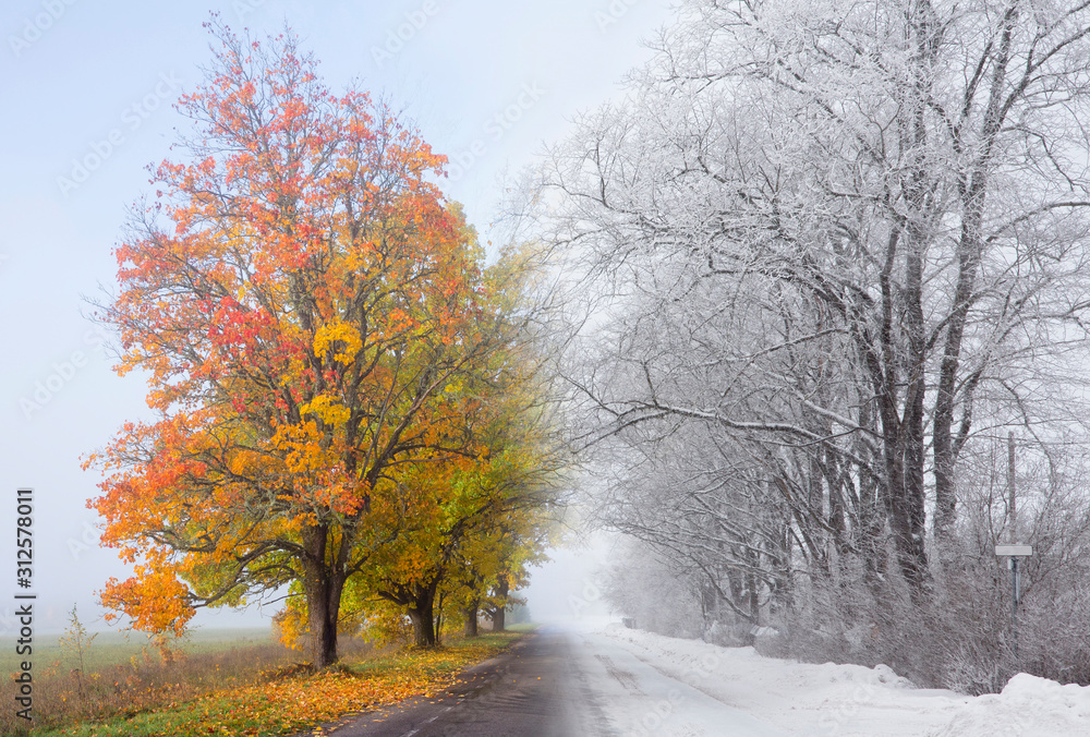 Photo composite of two images, autumn turning in to winter concept. On left colorful foliage on tree, autumn leaves under it and on right is snow blizzard and icy road. Weather concept. Photo composite of two images, autumn turning in to winter concept. On left colorful foliage on tree, autumn leaves under it and on right is snow blizzard and icy road. Weather concept.