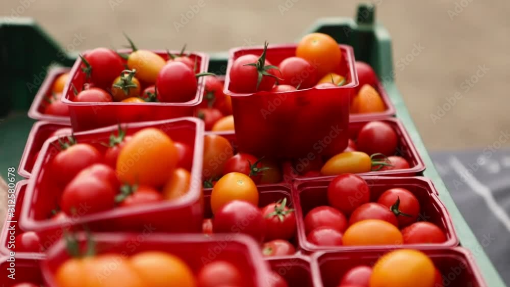 A close up short video of fresh and ripe tomatoes for sale in small plastic containers at a farmers market, locally sourced organic produce A close up short video of fresh and ripe tomatoes for sale in small plastic containers at a farmers market, locally sourced organic produce