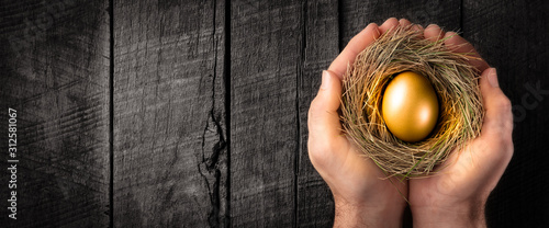 Protecting Hands Holding Golden Nest Egg On Wooden Table - Investment Protection Concept photo