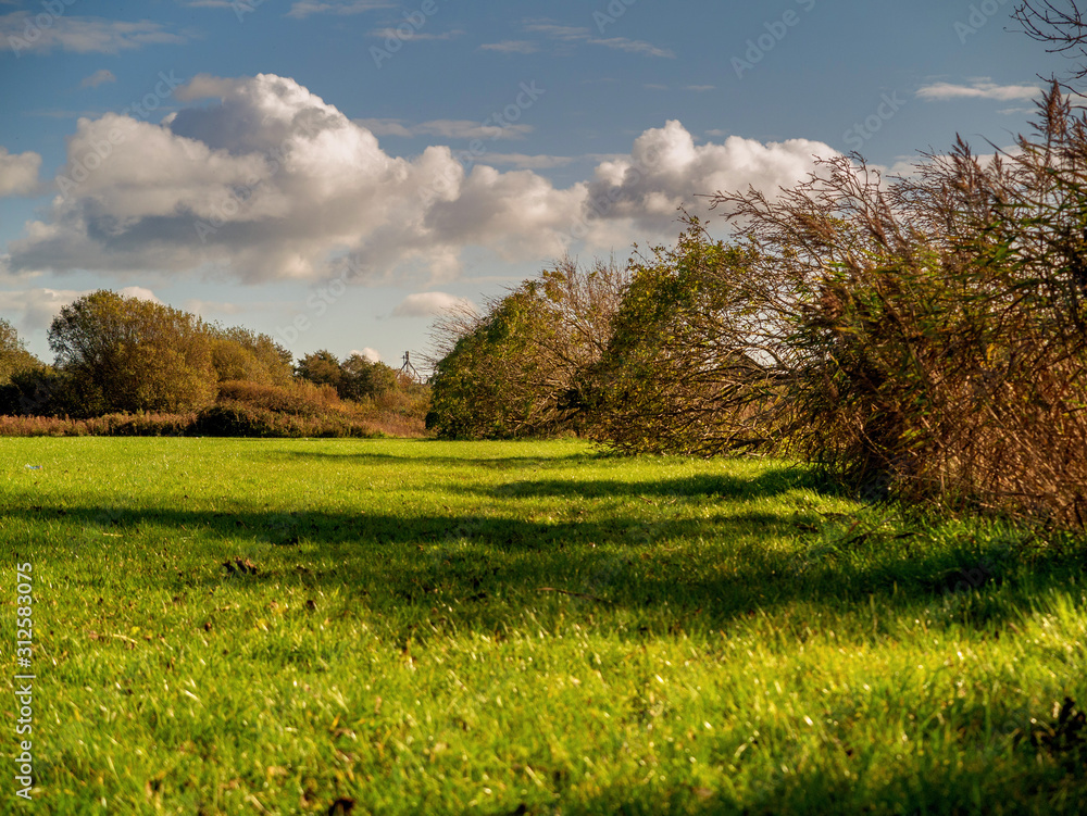 Empty green field, Sunny day, Concept summer. Nobody. Nature landscape. Empty green field, Sunny day, Concept summer. Nobody. Nature landscape.