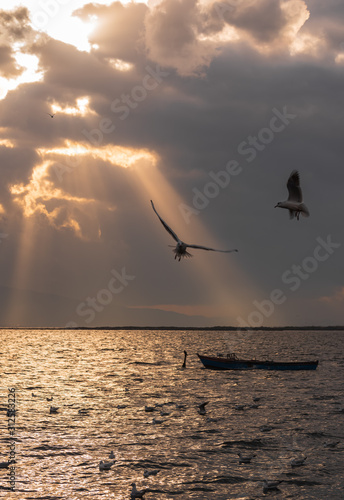 Boat and seagulls floating in the sea. Beams of light at sunset. Sunset and r...