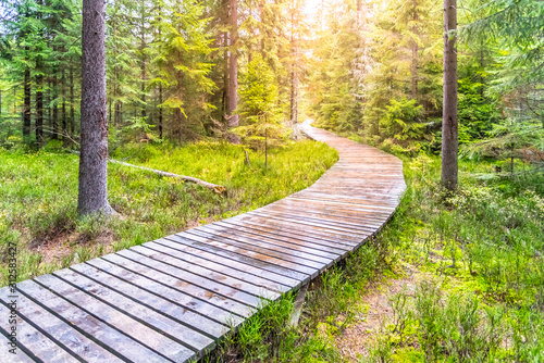 Fototapeta Autumn forest walk. Touristic wooden plank path