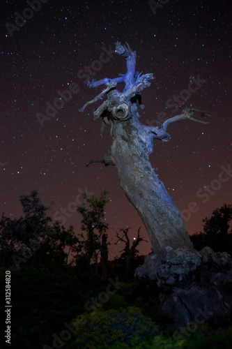 noche de estrellas e la sierra de las Nieves, Málaga