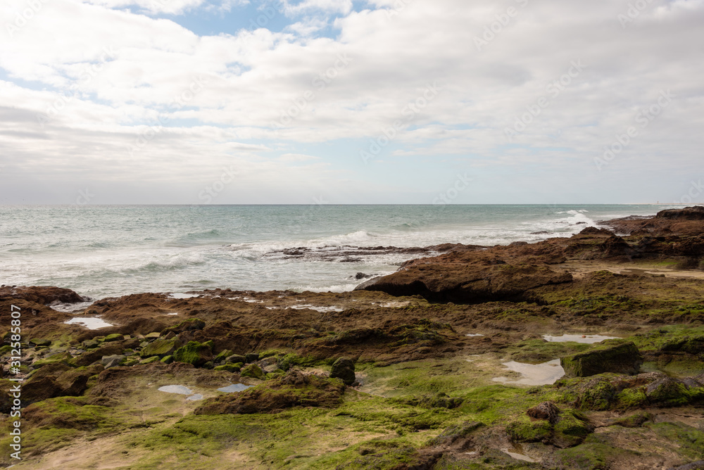 Rocky ocean shore covered with moss. Costa Calma, Fuerteventura. Selective focus. 