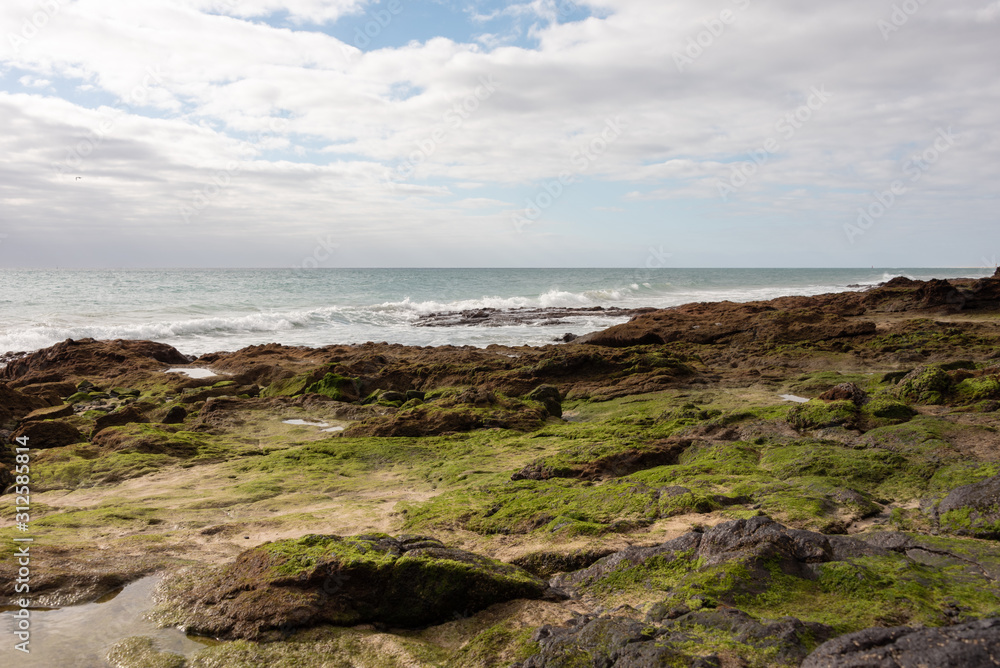 Rocky ocean shore covered with moss. Costa Calma, Fuerteventura. Selective focus. 