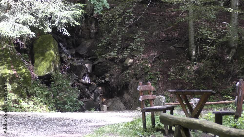Campigna - parco delle foreste casentinesi Campigna - parco delle foreste casentinesi