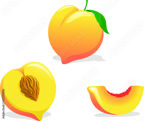 peach illustration set