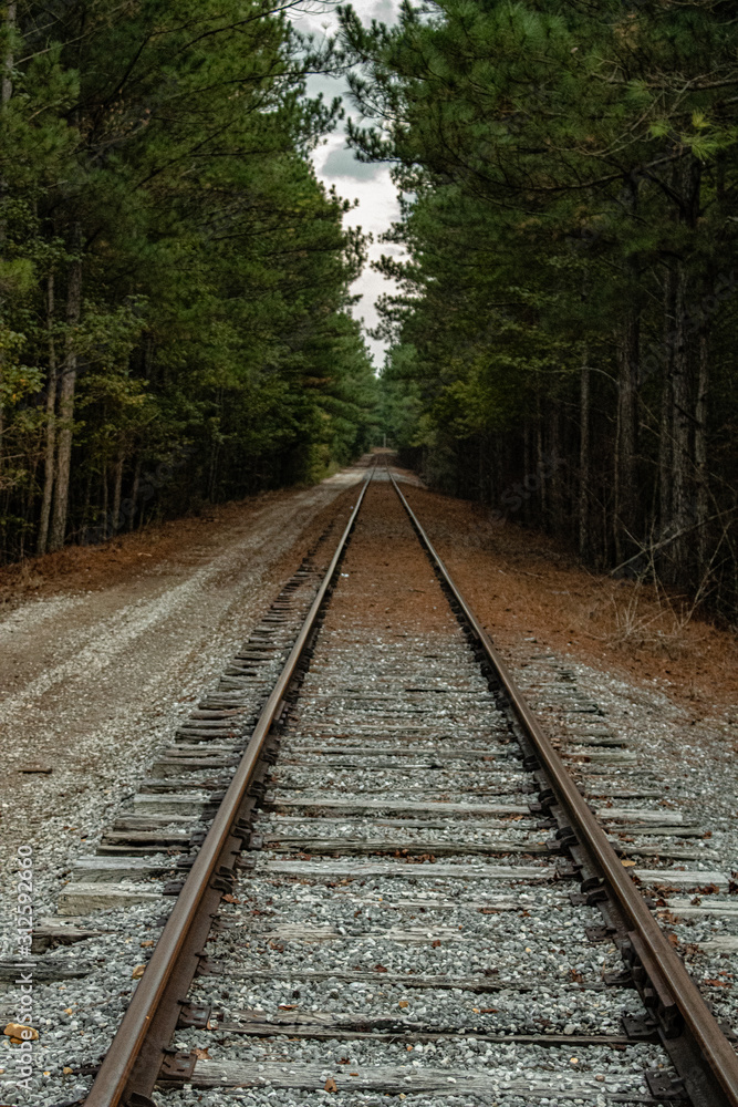 Railway in the Forest