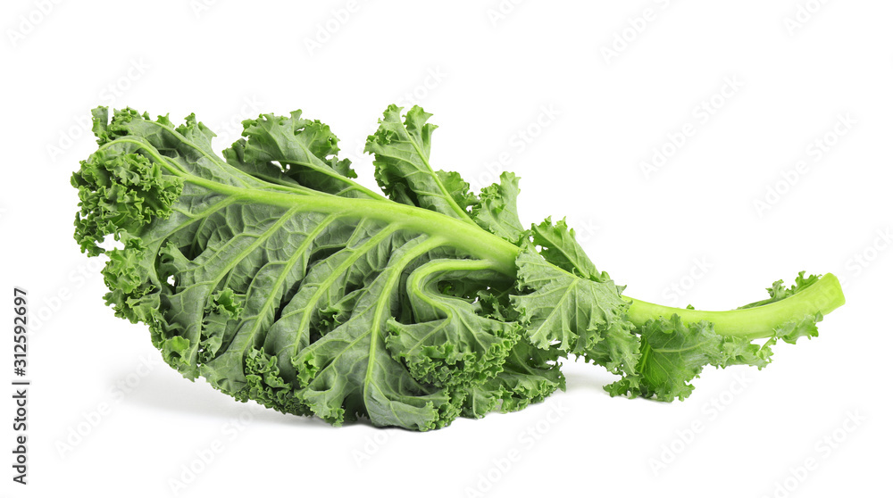 Fresh green kale leaf isolated on white Fresh green kale leaf isolated on white
