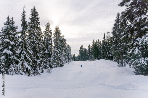 hiker walking in the winter landscape near vancouver, snowshoeing in the mountains