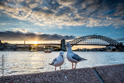 Photography Sydney View