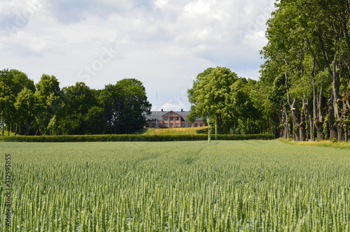 Manor House at Midsummer