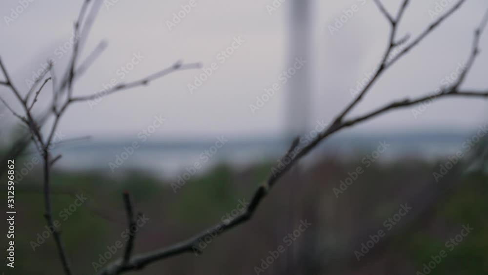 Swedish landscape with a focusshift from the seaside a branch Swedish landscape with a focusshift from the seaside a branch