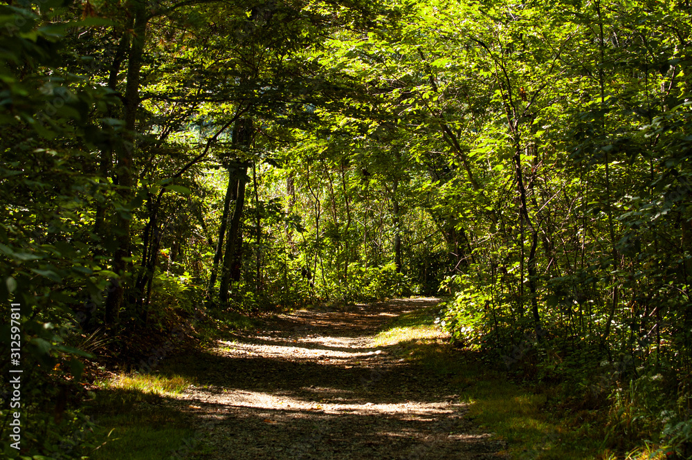 Obraz premium Shadows and Sun