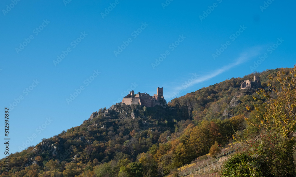 Burg im Elsass