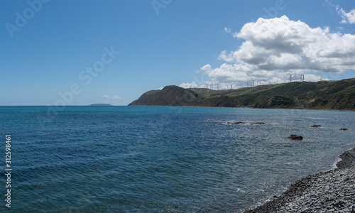 Wind turbines in Makara New Zealand, near Wellington	 photo