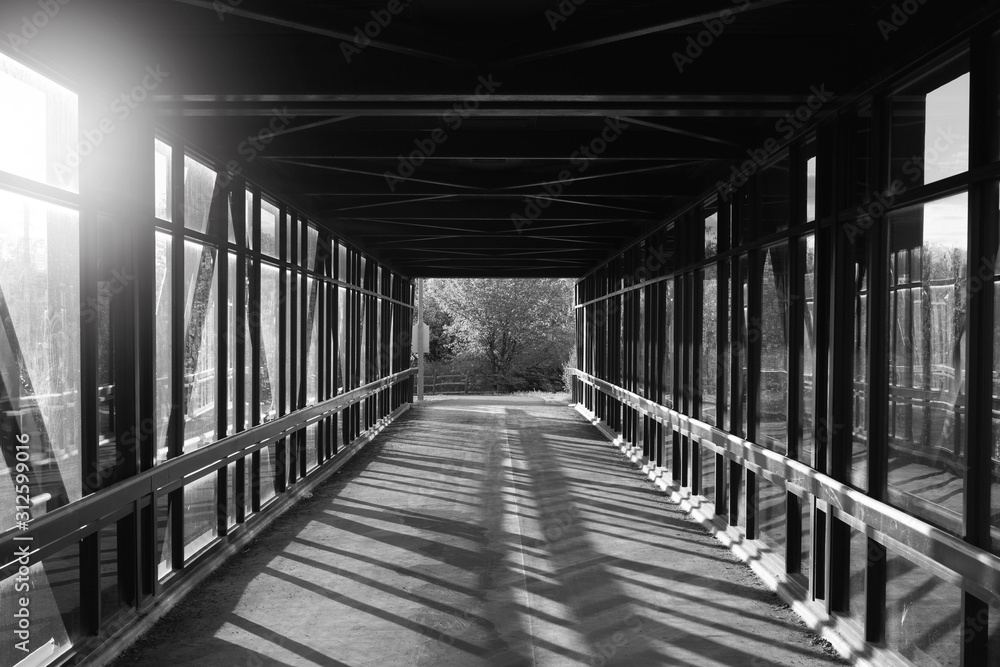 pedestrian pathway above highway, golden light shining creating shadows. green forest in the end. Black and white.