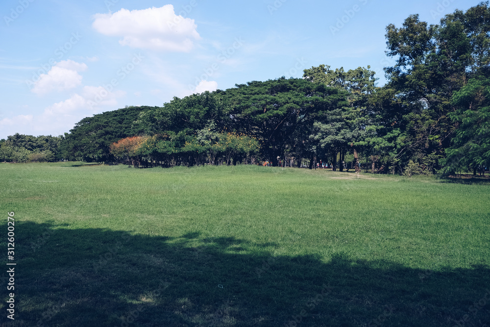 Train park to relax and exercise at chatuchak bangkok thailand. garden in morning day with blue sky. Beautiful green park, Public park with green grass field and tree.