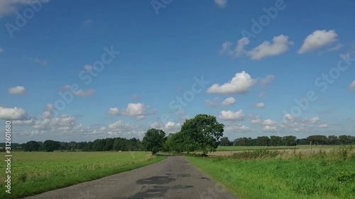 road in the field