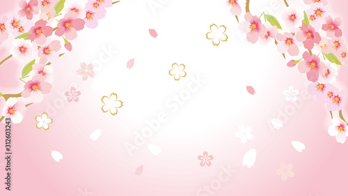 桜のイラスト