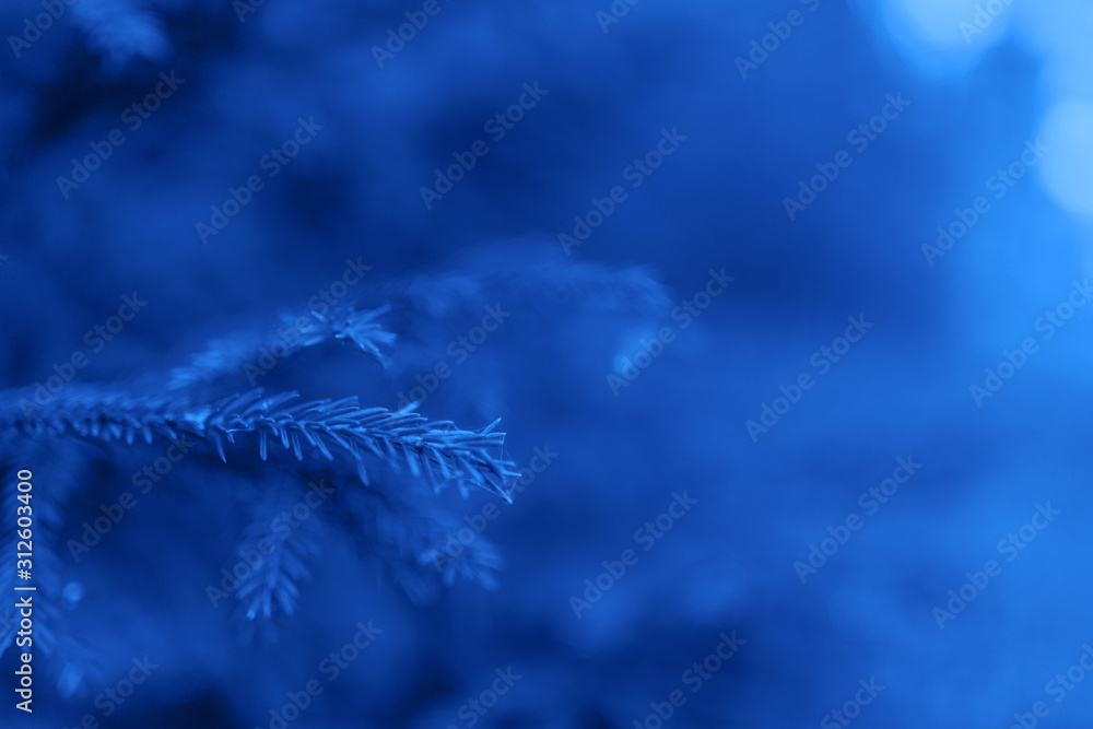 Fluffy fir tree brunch close up toned in classic blue color. Christmas wallpaper concept with copy space. Selective focus. Trendy color of 2020 year